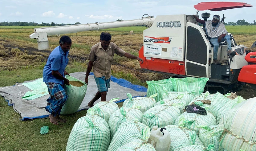 Sri Lanka faces looming food crisis with stunted rice crop