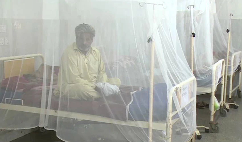 158 dengue cases reported in Punjab during last 24 hours