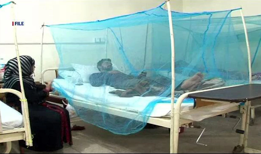 164 dengue cases reported in Punjab during last 24 hours