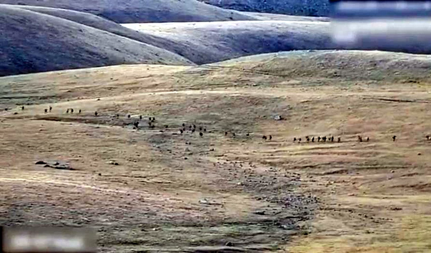 49 soldiers killed in Azerbaijan-Armenia border clash