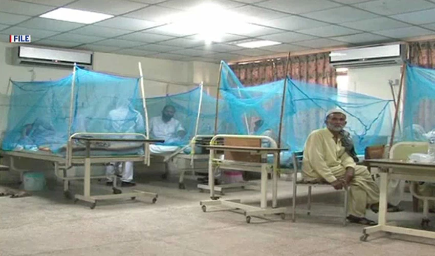 85 dengue cases reported in federal capital during last 24 hours