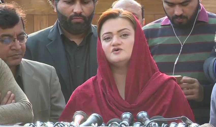 Power plant imported from India as per policy of PTI govt: Marriyum Aurangzeb