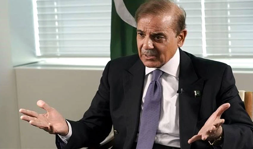 Bilateral relations damaged by Imran Khan's anti-American statements, says PM Shehbaz