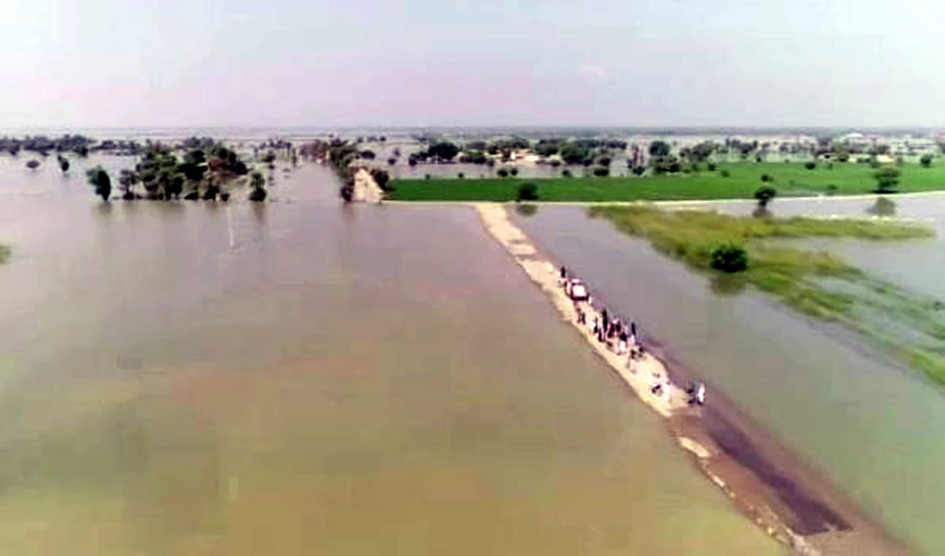 Flood-hit Pakistan should suspend debt repayments, says UN policy paper