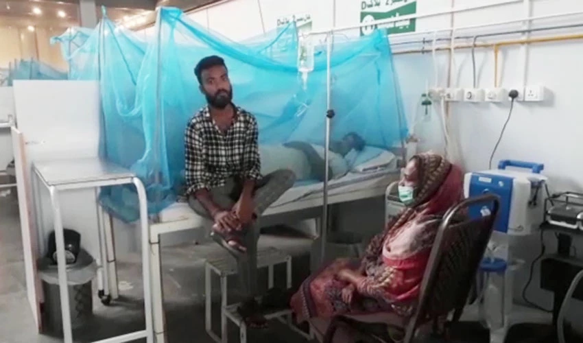 Three more people die of dengue across country
