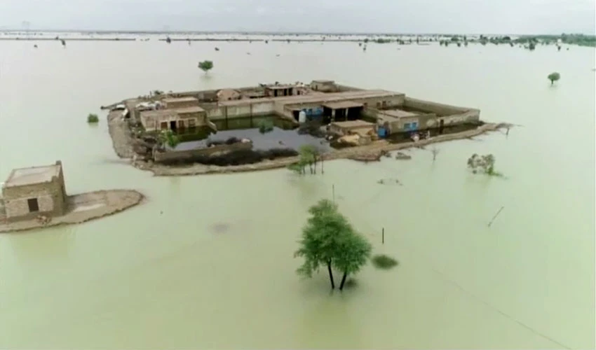 Torrential monsoon rains, floods death toll reaches 1,290
