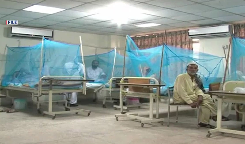 100 new cases of dengue reported in federal capital during last 24 hours