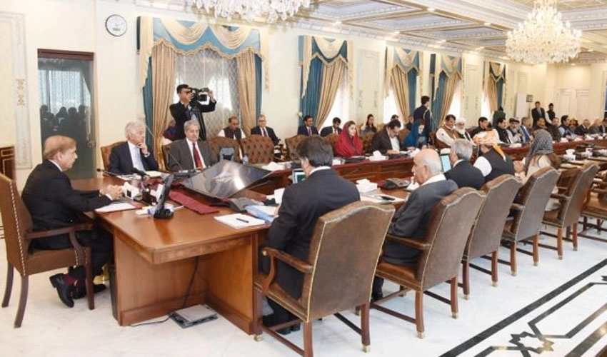 Federal cabinet briefed about comprehensive strategy to reduce electricity theft