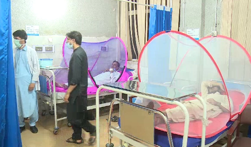 111 new cases of dengue reported in federal capital during last 24 hours