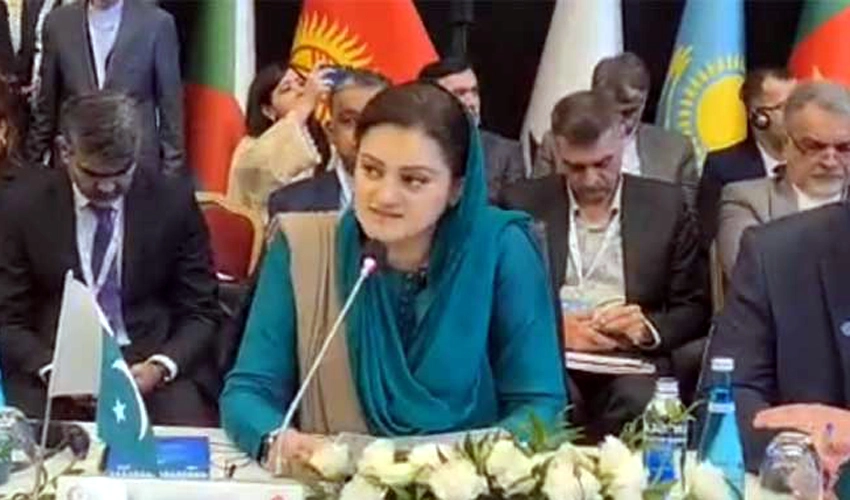 OIC should play its role with regard to Palestine and Kashmir issues: Marriyum