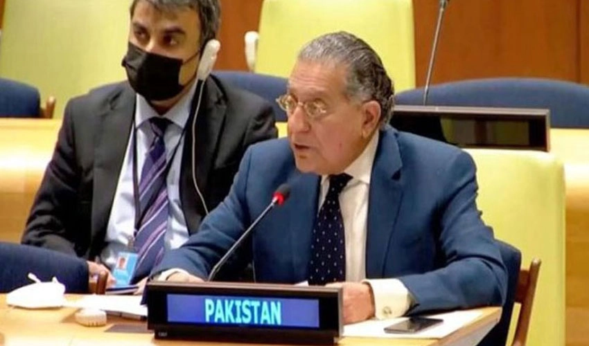 IIOJK's freedom 'primary aim' of Pakistan at UN, says Munir Akram