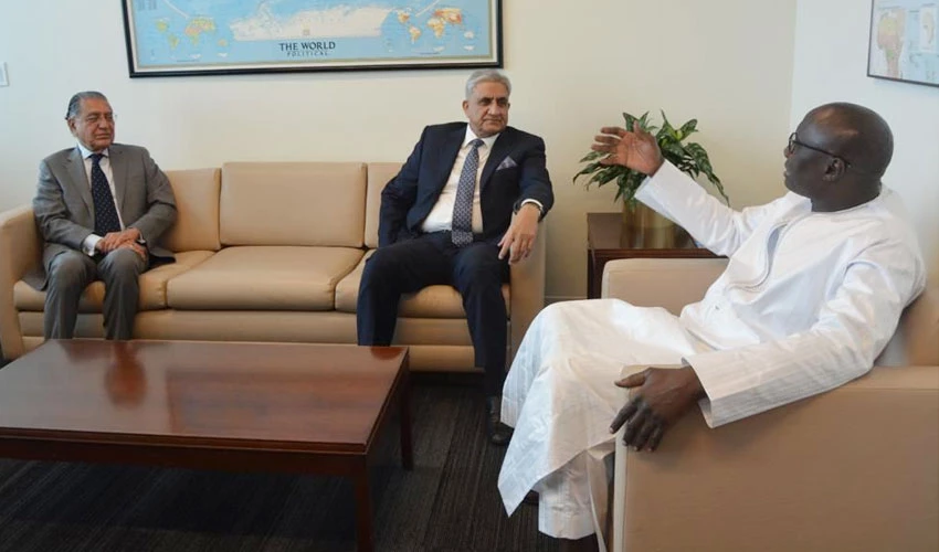 COAS Qamar Bajwa holds meeting with UN Chief's Military Advisor during US visit