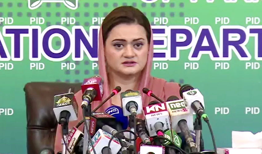 Day of shame for perpetrators of political victimization: Marriyum