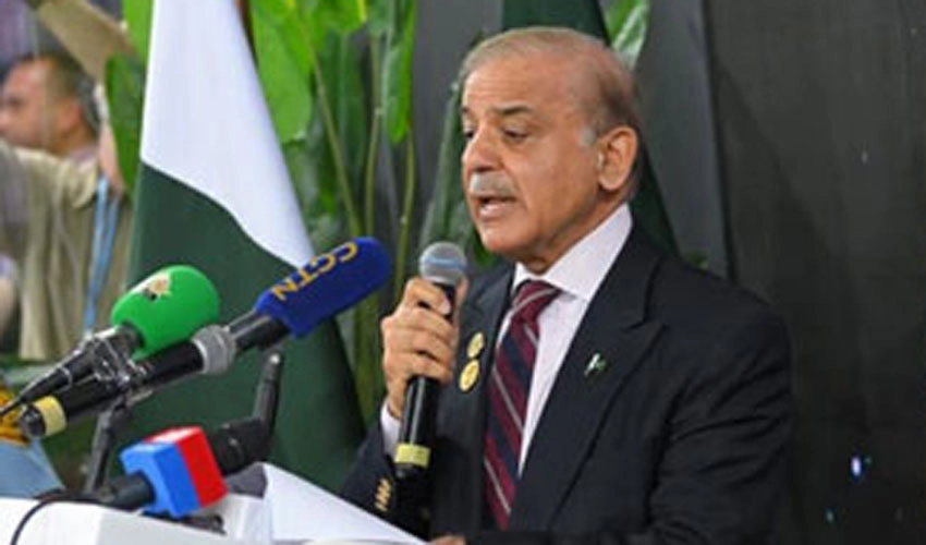 PM Shehbaz Sharif demands for a joint charter to deal with climate change