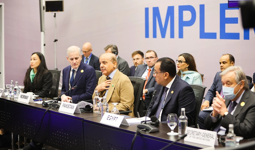 PM Shehbaz Sharif calls for renewed international cooperation to address climate change impacts