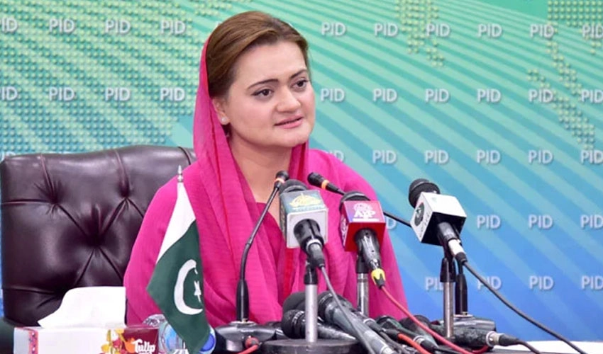 Tasneem Haider has no relation with PML-N, says Marriyum Aurangzeb