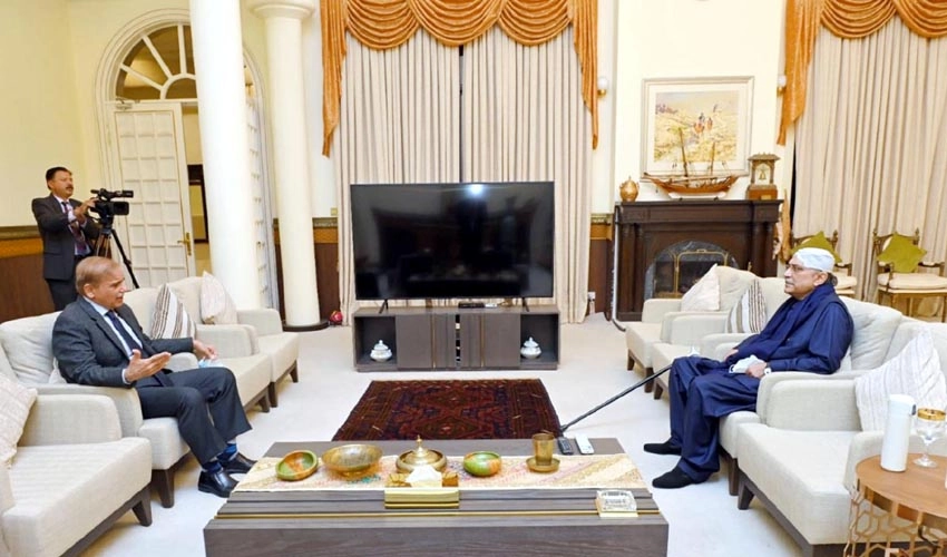 PM Shehbaz Sharif, Asif Zardari discuss political situation & key appointments