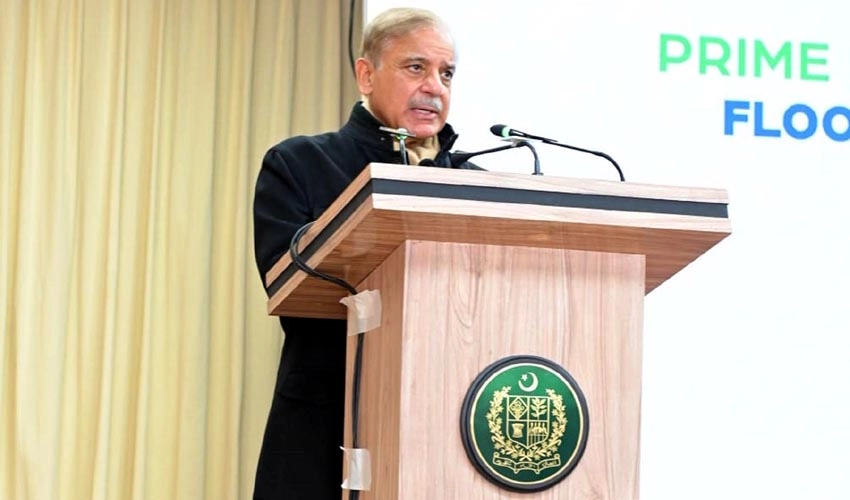 Provinces provided relief to flood-affected people despite limited resources: PM