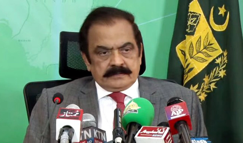Rana Sanaullah welcomes apology tendered by Daily Mail to PM Shehbaz