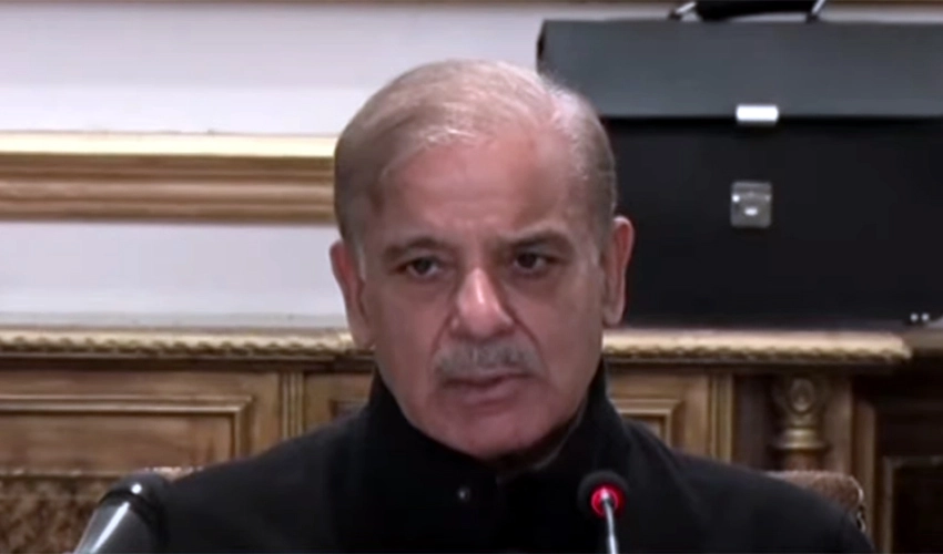 PM Shehbaz Sharif lauds efforts for relief and rehabilitation of flood survivors