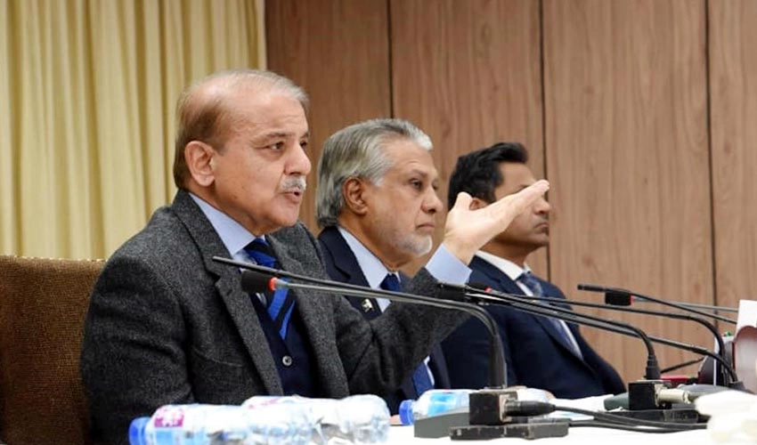 Didn't put political assets at stake to go to election immediately: PM Shehbaz Sharif