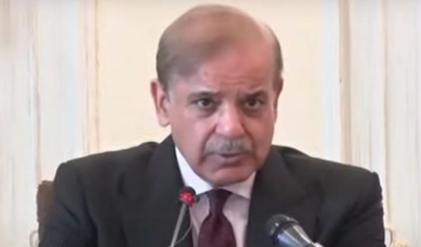 Political stability is basic condition to get rid of inflation, says PM Shehbaz Sharif