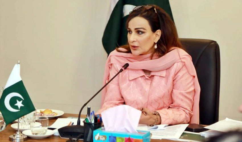 Imran’s intimidating politics pushed PTI to blind alley sans political options: Sherry Rehman
