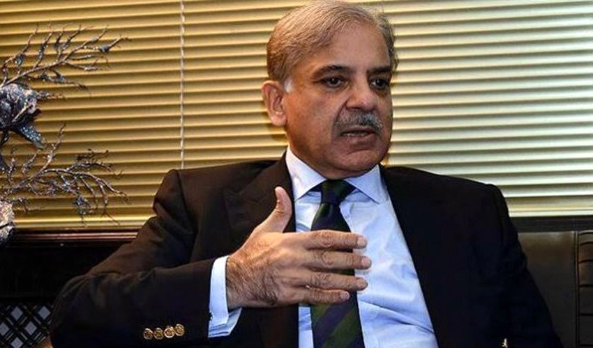 Attempts aimed at spreading chaos in Pakistan will be crushed: PM Shehbaz Sharif