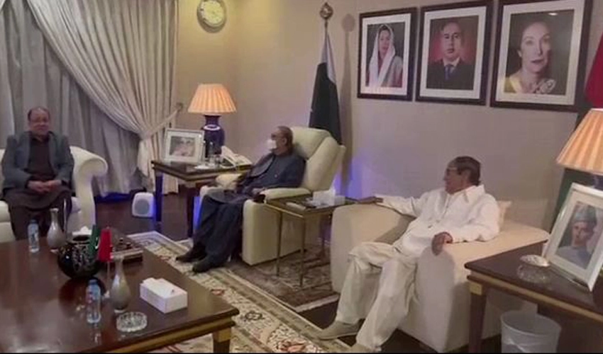 Asif Zardari, Ch Shujaat exchange views on political situation in Punjab