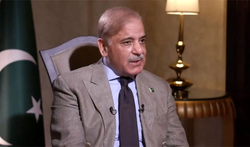 PM Shehbaz Sharif calls for constructive Pak-India dialogue to resolve issues
