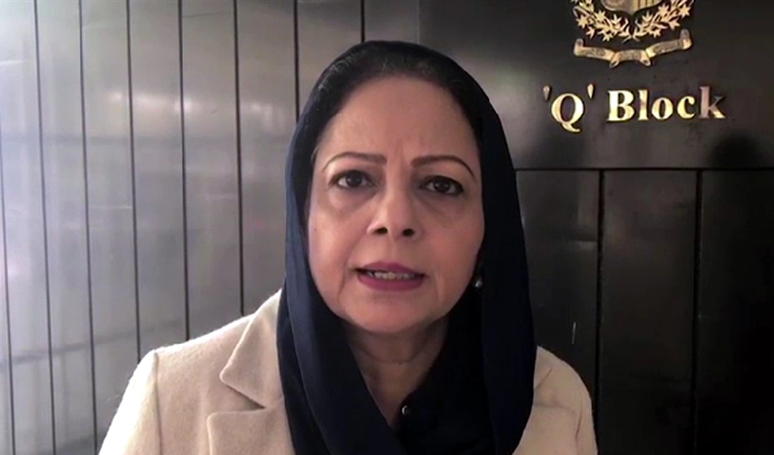 Govt ending subsidy on electricity for the rich on IMF demand: Ayesha Ghaus Pasha