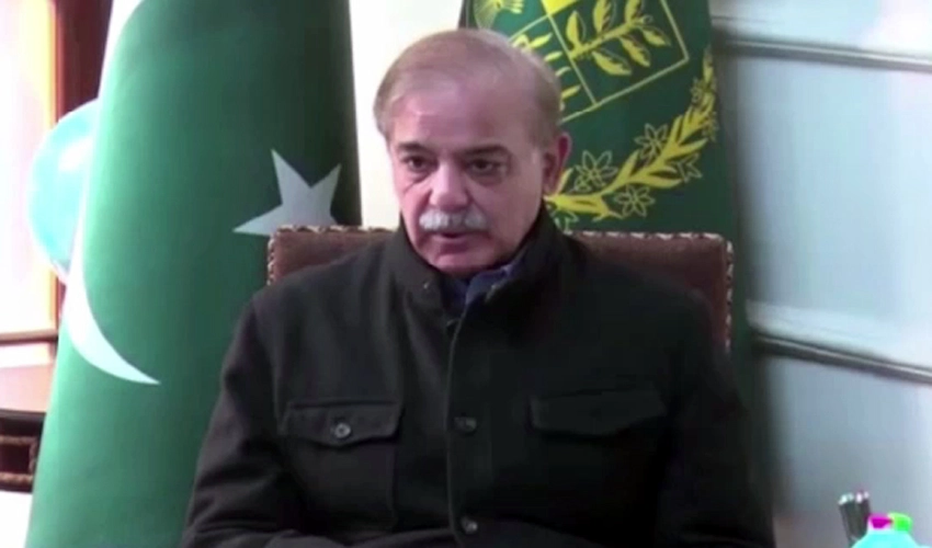 PM Shehbaz Sharif annoyed over STZA performance, forms committee for revival