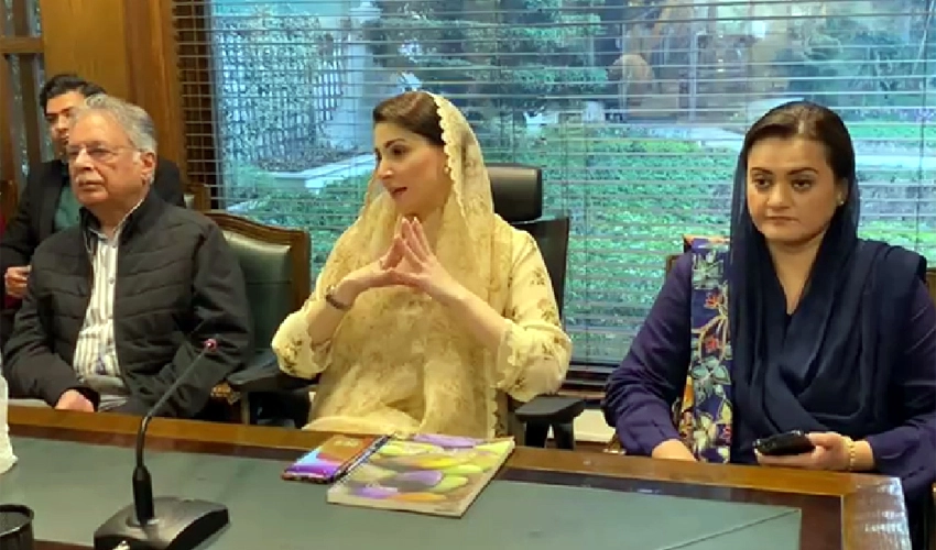 PML-N can face problems if Nawaz Sharif goes away: Maryam Nawaz
