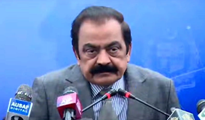 Rana Sanaullah asks President to remain within limit of constitution