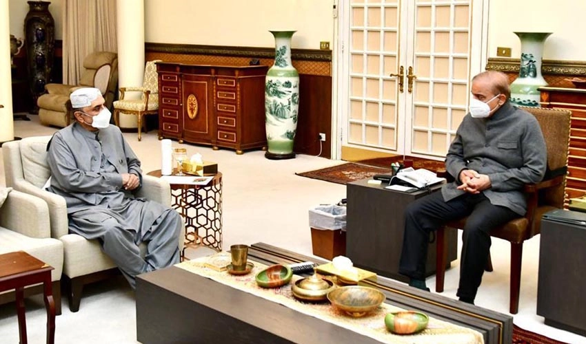 PM Shehbaz Sharif, Asif Zardari discuss political situation and public welfare matters