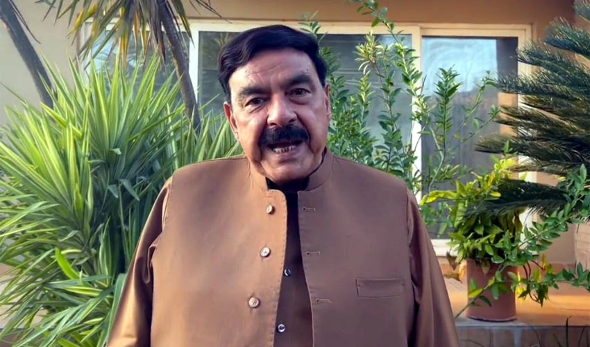 SC's nine-member bench is sitting to defend law and constitution: Sheikh Rasheed