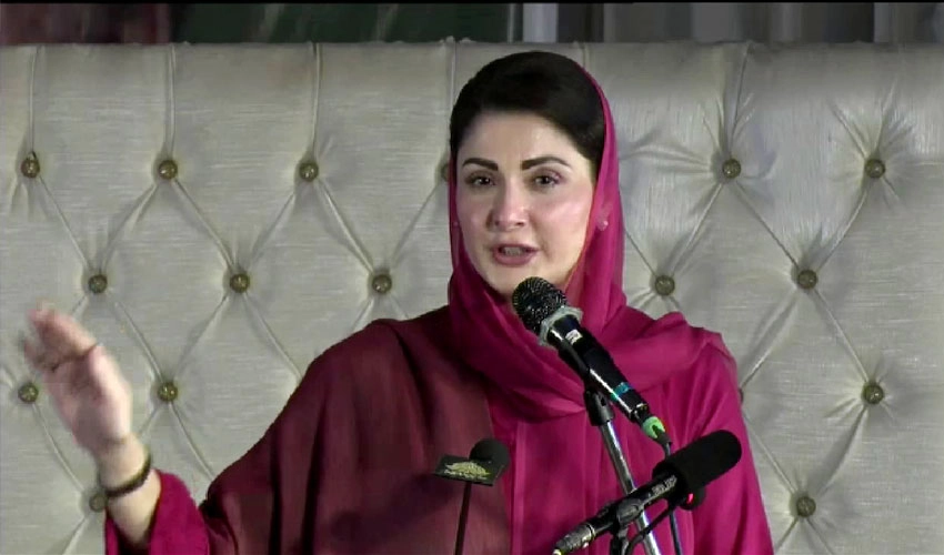 Your squeals are not amiss, Maryam Nawaz responds to Imran Khan on Twitter