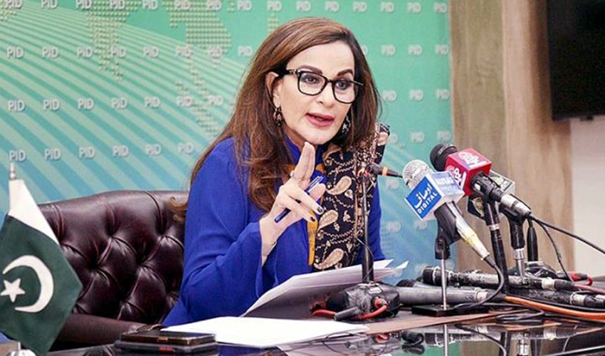 Imran Khan ready to spread political chaos but not appearing in court: Sherry Rehman