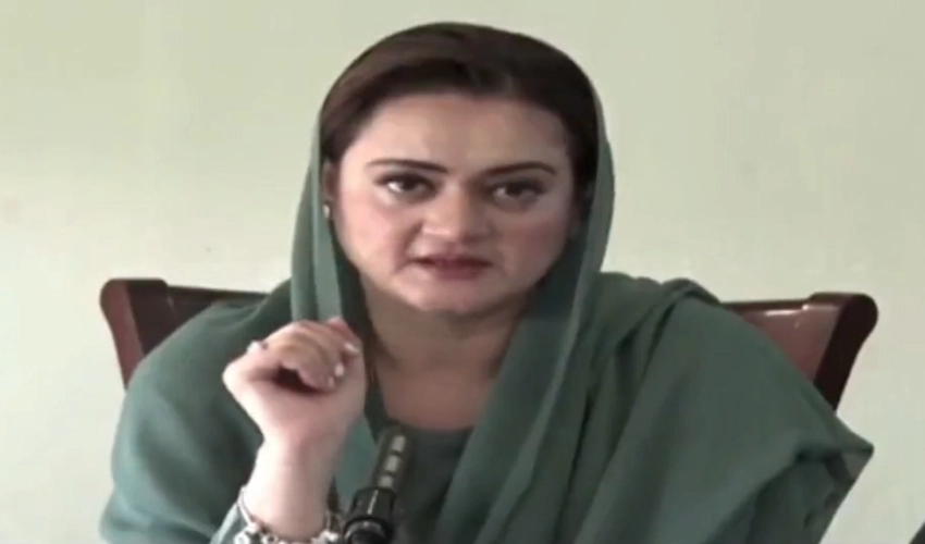 PTI is not a political party, but a group of terrorists: Marriyum Aurangzeb