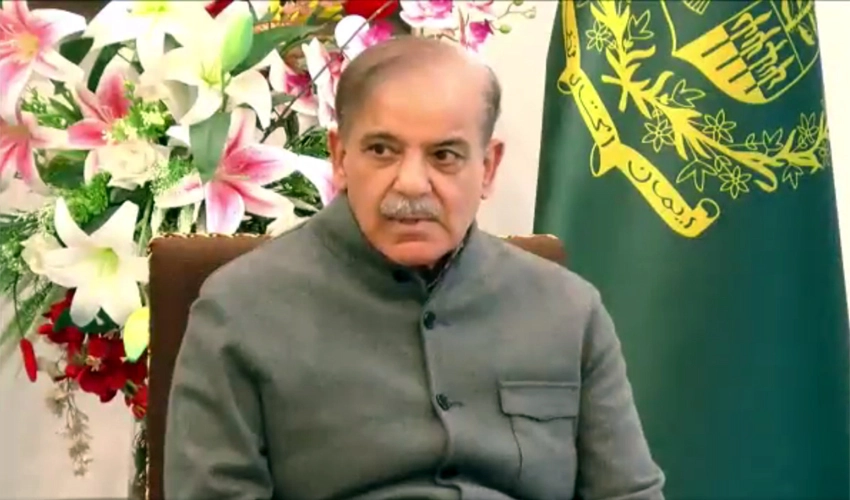 PM Shehbaz Sharif expresses satisfaction with arrangements at flour distribution centre