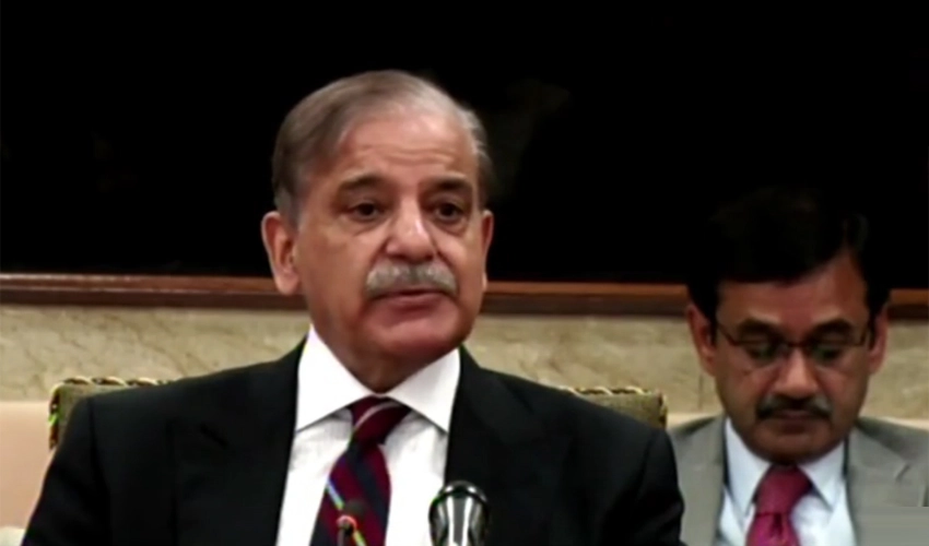 Previous govt's IMF programme is cause of inflation, says PM Shehbaz Sharif