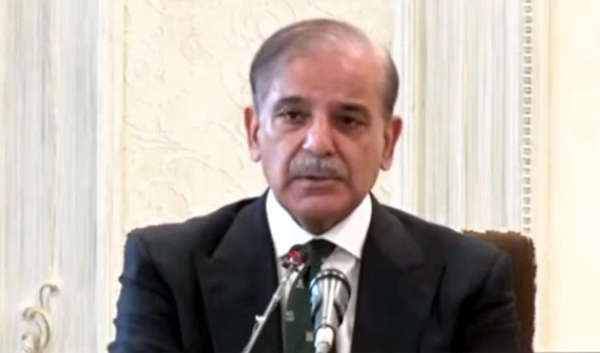 Election delay case heard by ignoring 4-3 judgement: PM Shehbaz Sharif