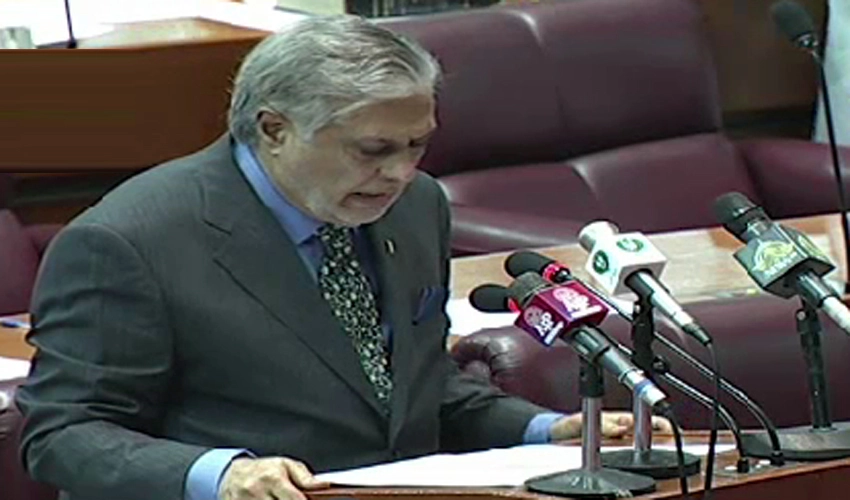 Holding elections immediately not in country's interest: Ishaq Dar