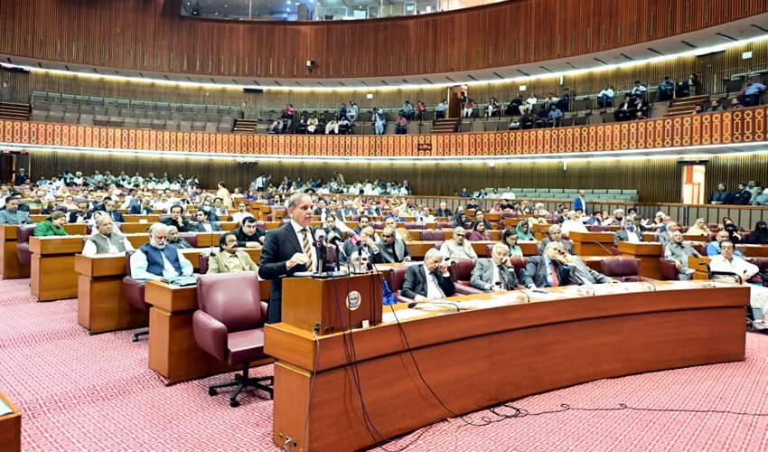 PM Shehbaz Sharif gets vote of confidence from National Assembly