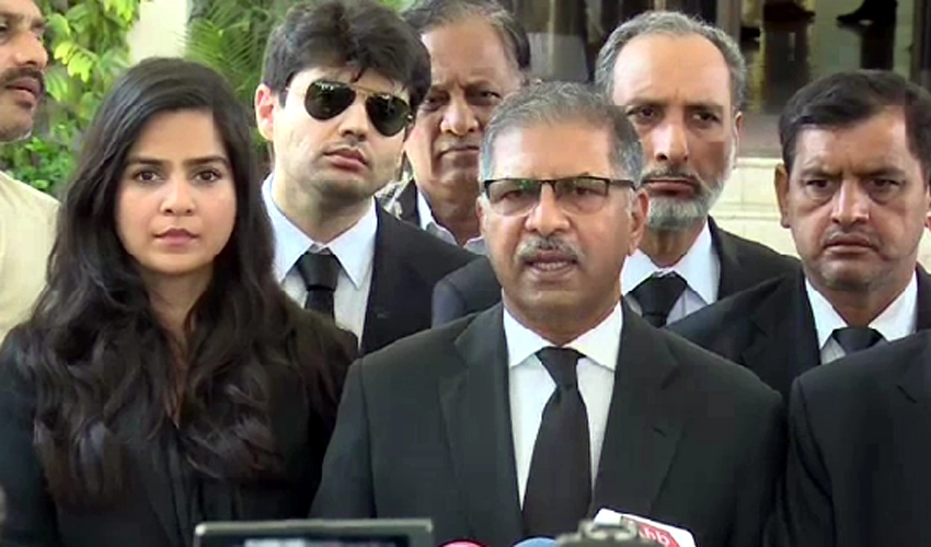SC will nullify in a day if PTI is banned, says counsel Ali Zafar