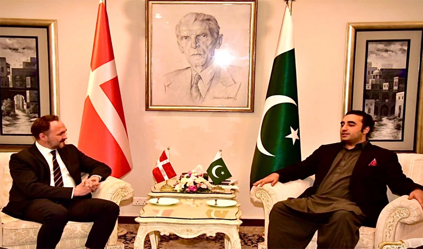 Denmark to cooperate Pakistan in developing green energy infrastructure