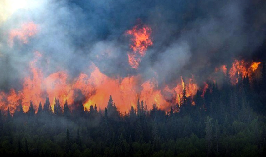 Canada wildfire smoke chokes millions in North America