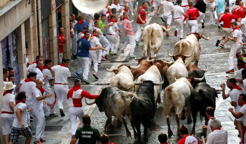 Six hurt in first bull run of Spain's San Fermin festival