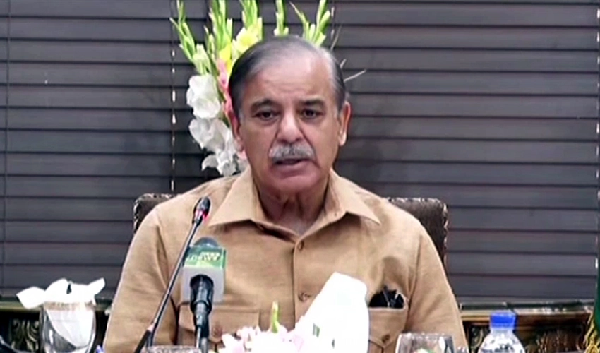 PM forms PML-N's five-member committee to discuss caretaker set-up, general elections