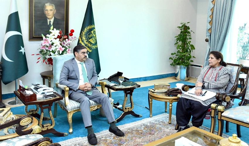 Caretaker PM Kakar directs devising effective strategy for economic stability